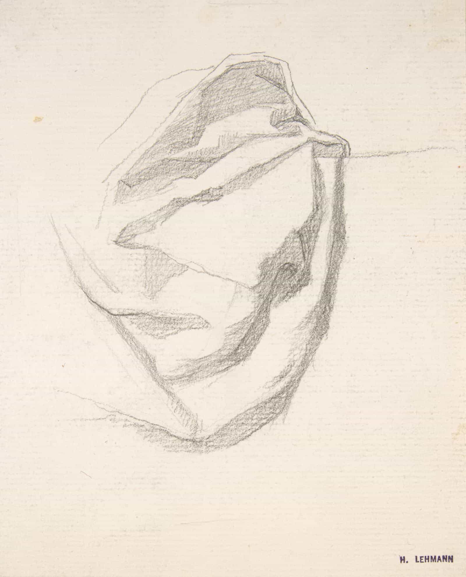 Study Of Drapery by Henri Lehmann