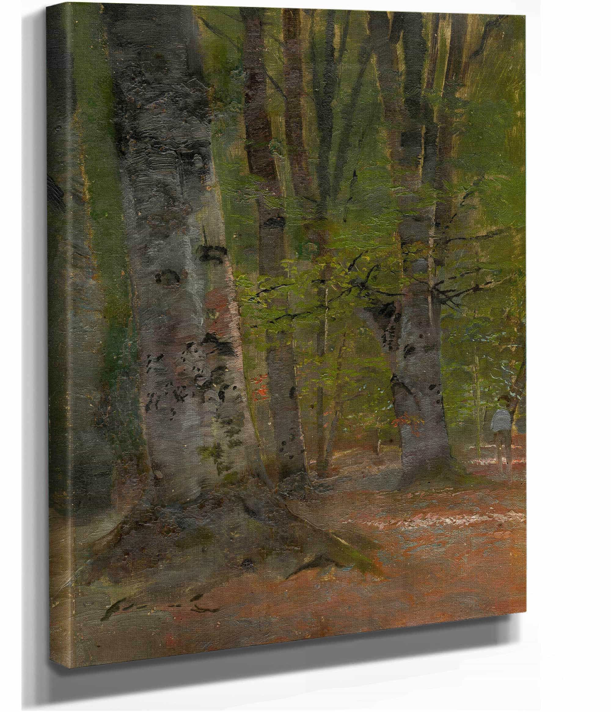 Study Of Forest Interior   by Ladislav Mednyanszky