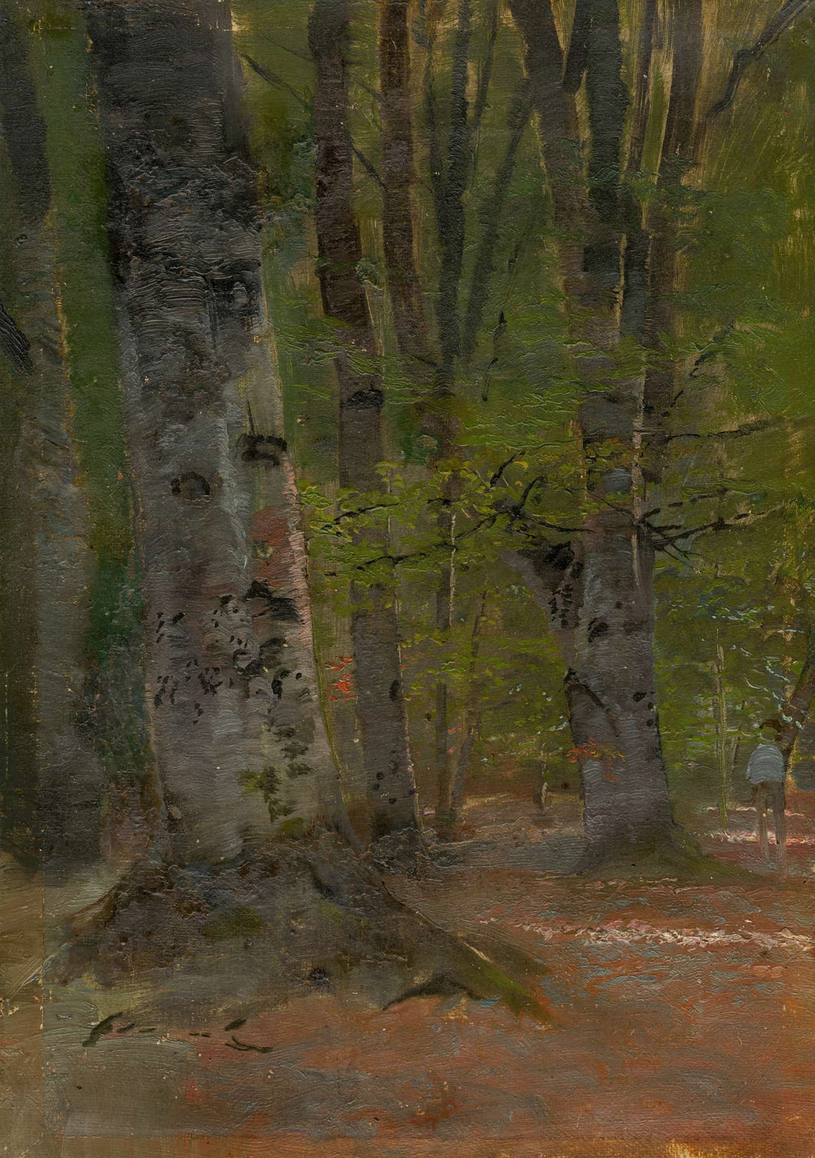 Study Of Forest Interior   by Ladislav Mednyanszky