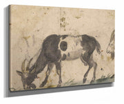 Study Of Goats About  by Lucas Cranach The Elder