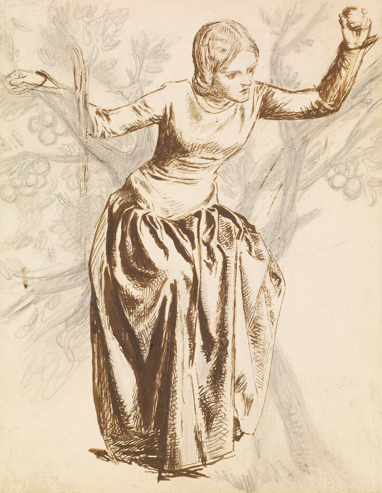 Study Of Guenevere Seated In Apple Tree by Dante Gabriel Rossetti