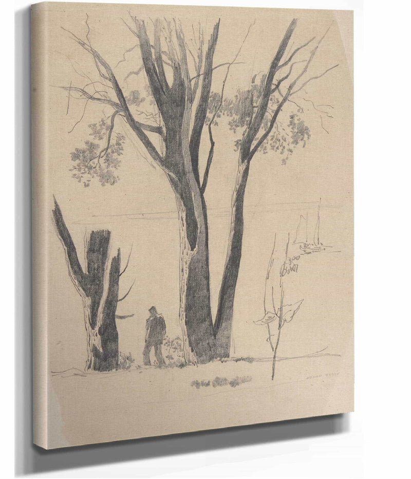 Study Of Man Between Trees   by Odilon Redon