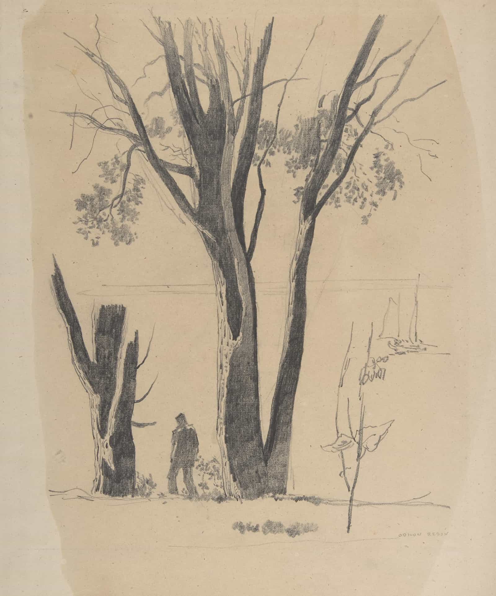 Study Of Man Between Trees   by Odilon Redon