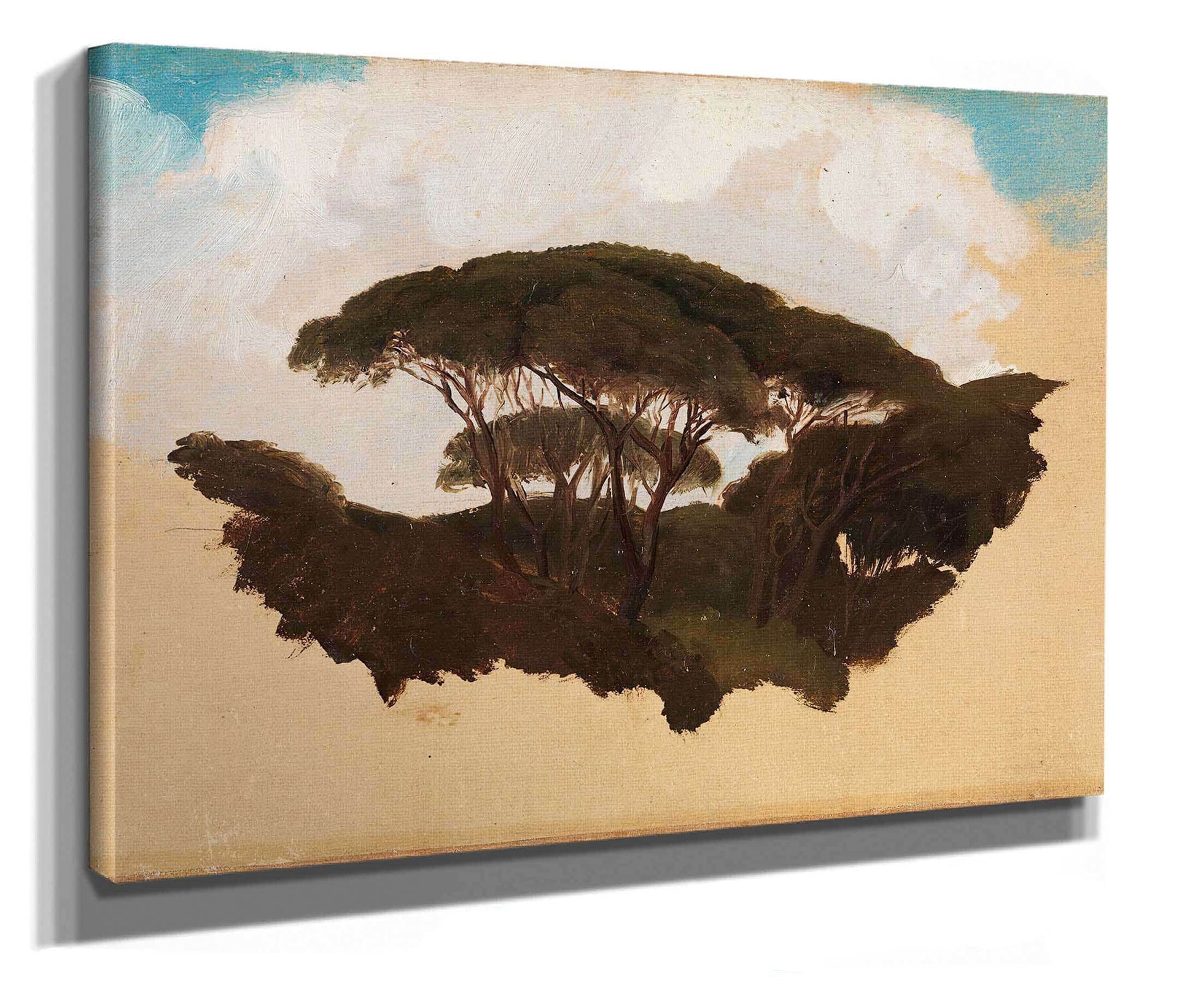 Study Of Stone Pines by Adolph Tidemand