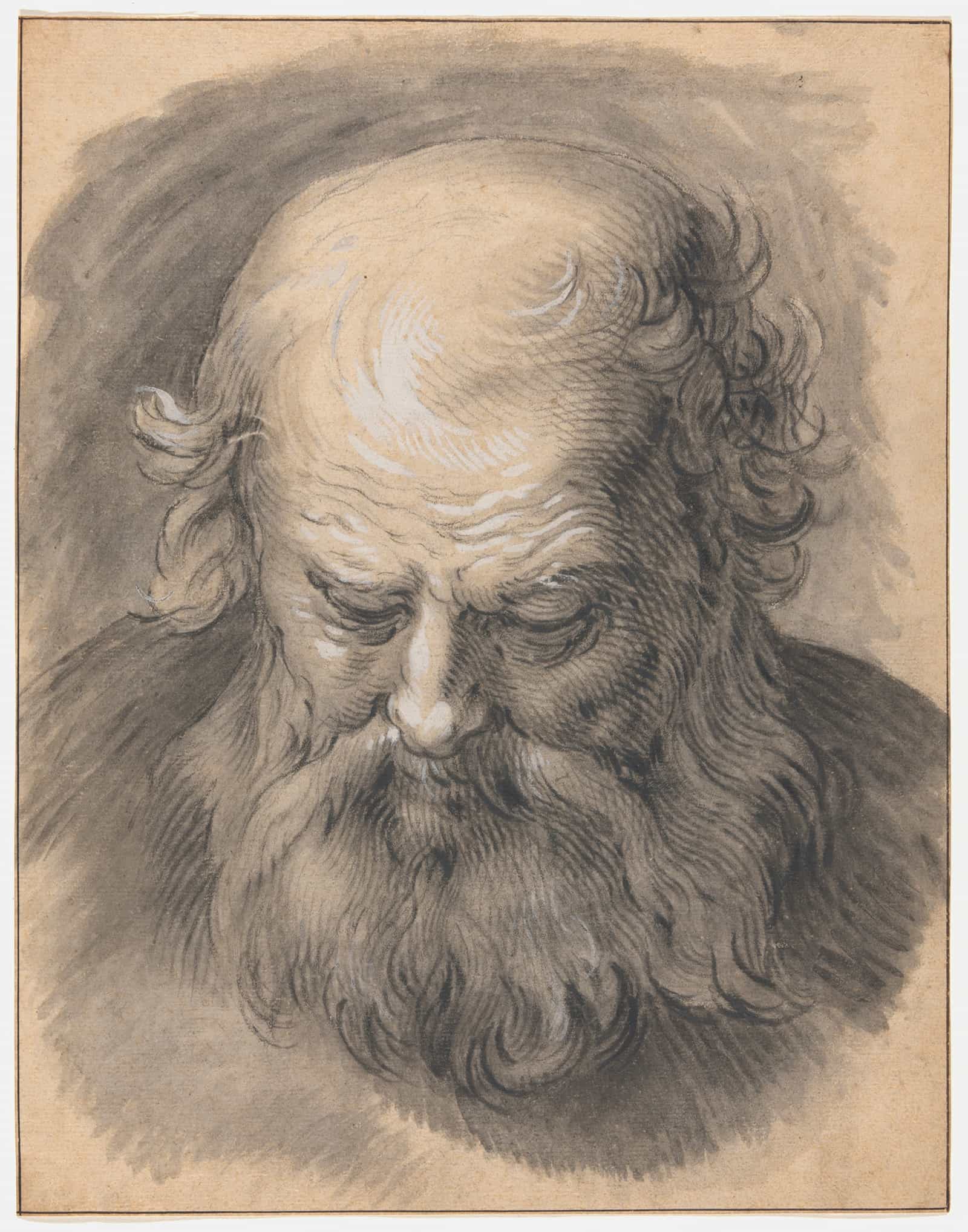 Study Of The Head Of A Bearded Man by Abraham Bloemaert