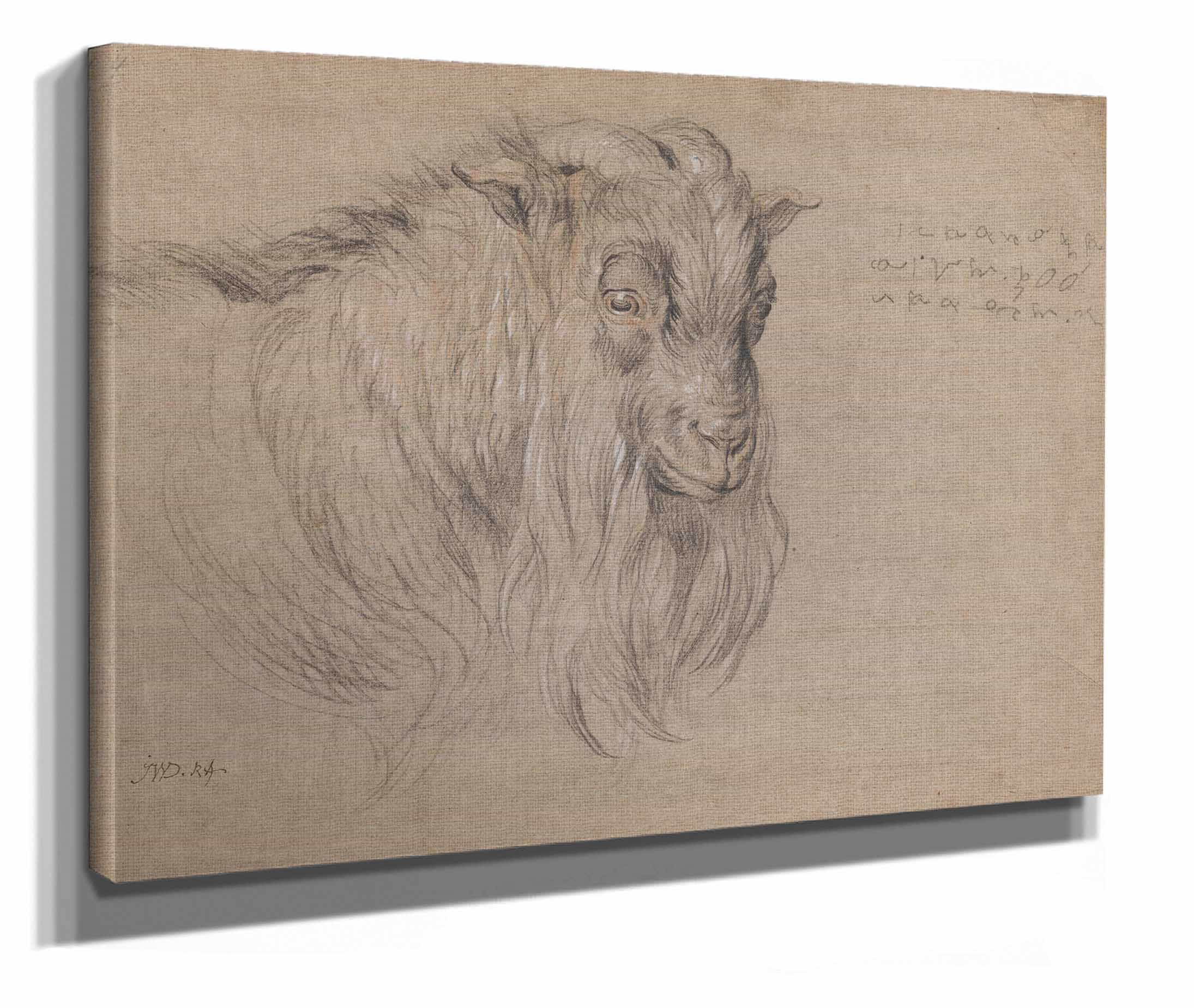Study Of The Head Of A Ram by James Ward