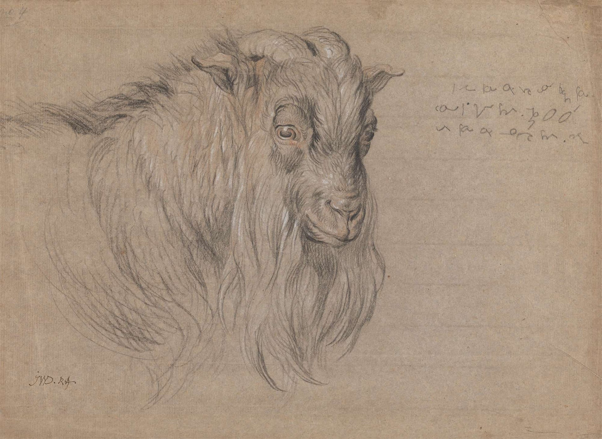 Study Of The Head Of A Ram by James Ward