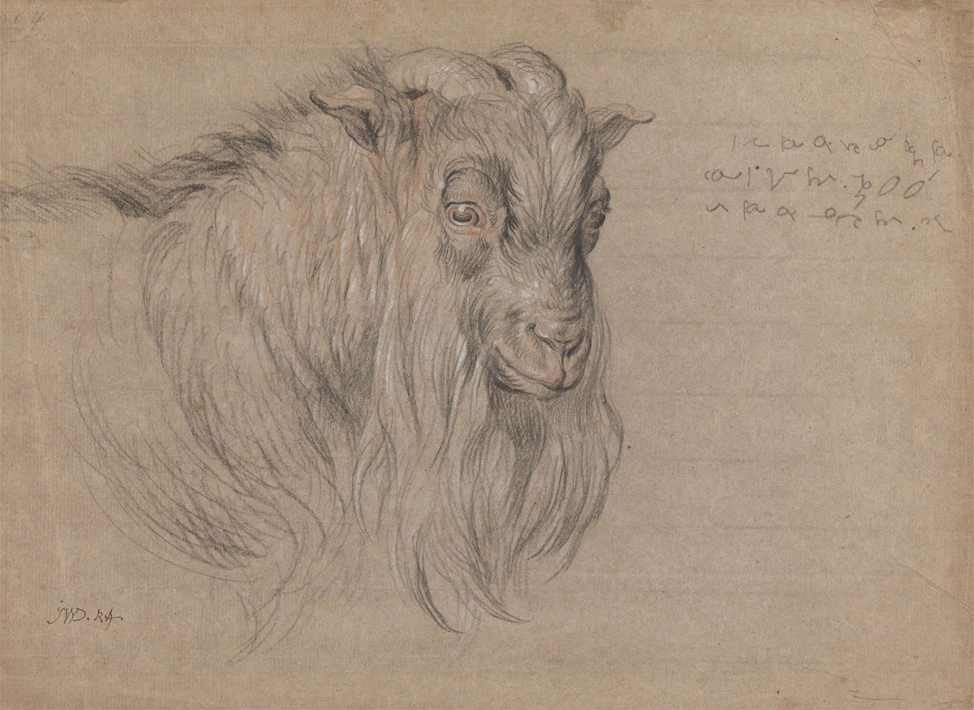 Study Of The Head Of A Ram by James Ward