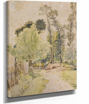 Study Of Trees At Bayswater London by John Linnell