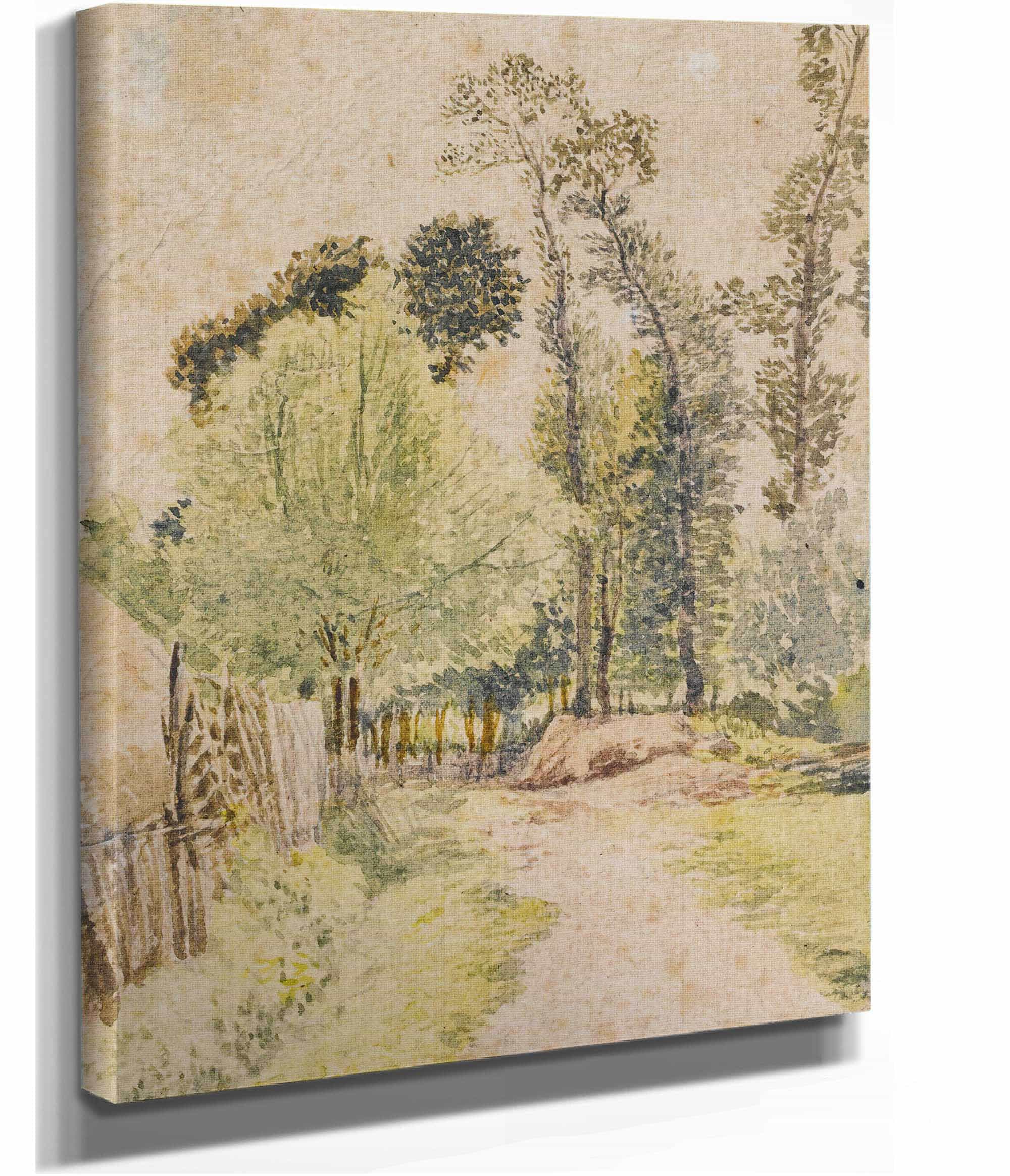 Study Of Trees At Bayswater London by John Linnell