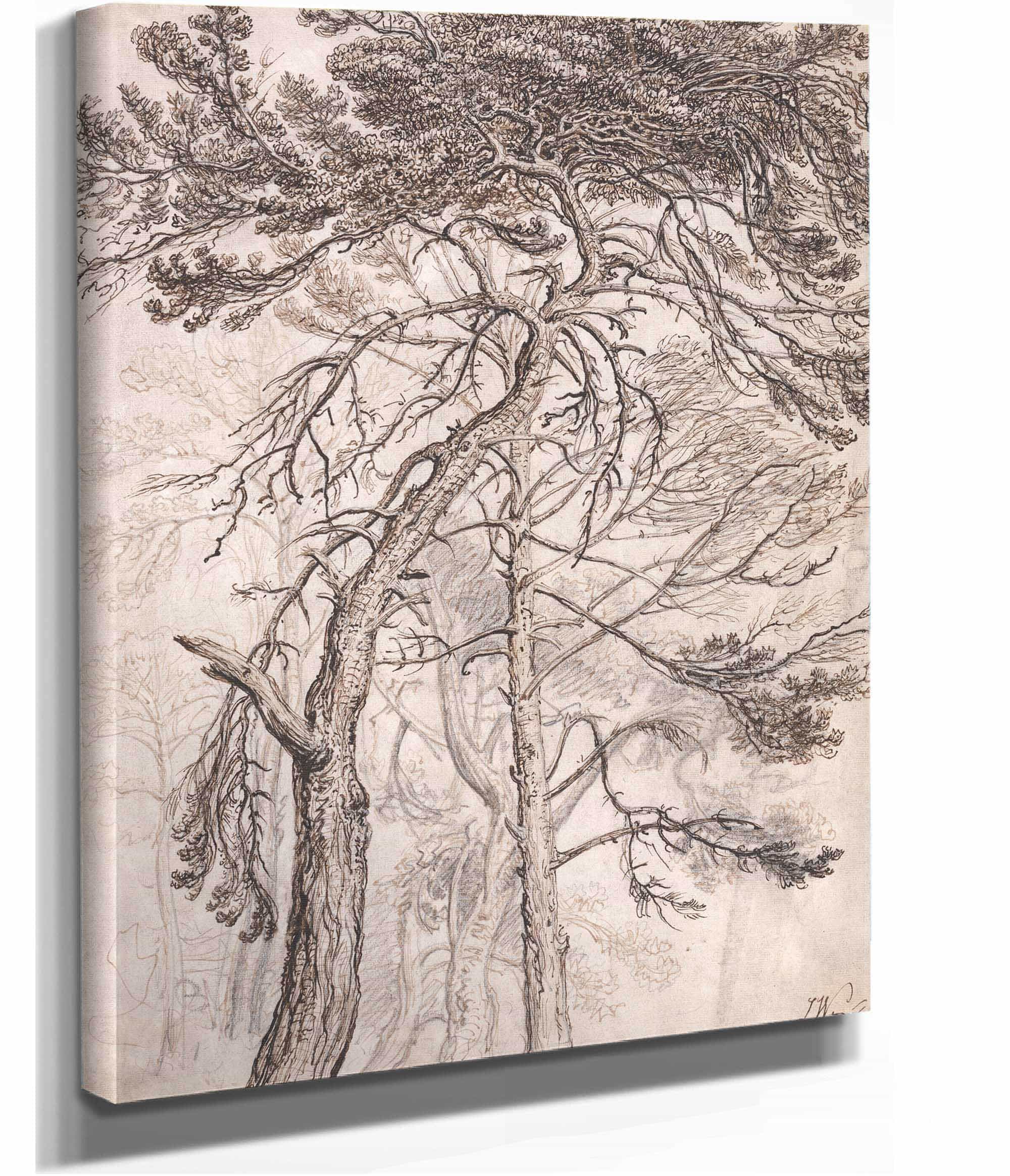 Study Of Trees by James Ward
