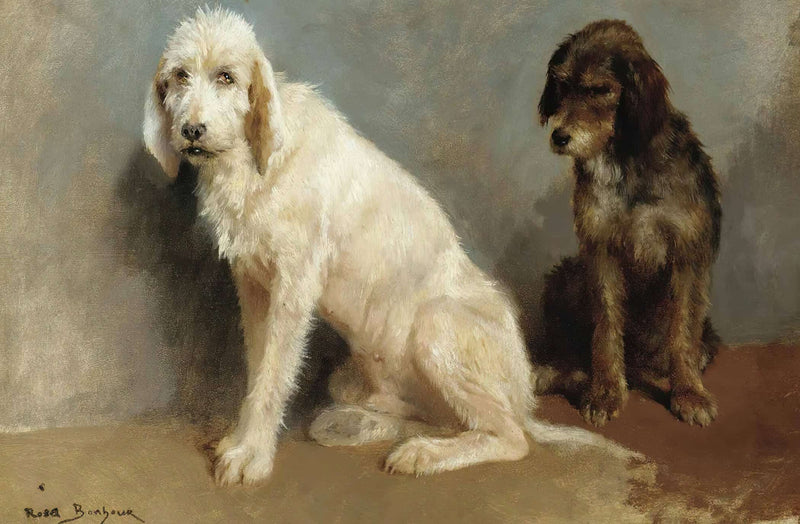 Study Of Two Dogs by Rosa Bonheur
