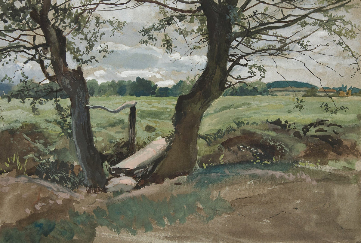 Study Of Two Trees And A Field by Edwin Austin Abbey