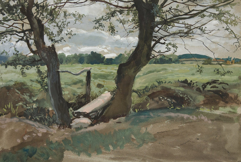 Study Of Two Trees And A Field by Edwin Austin Abbey