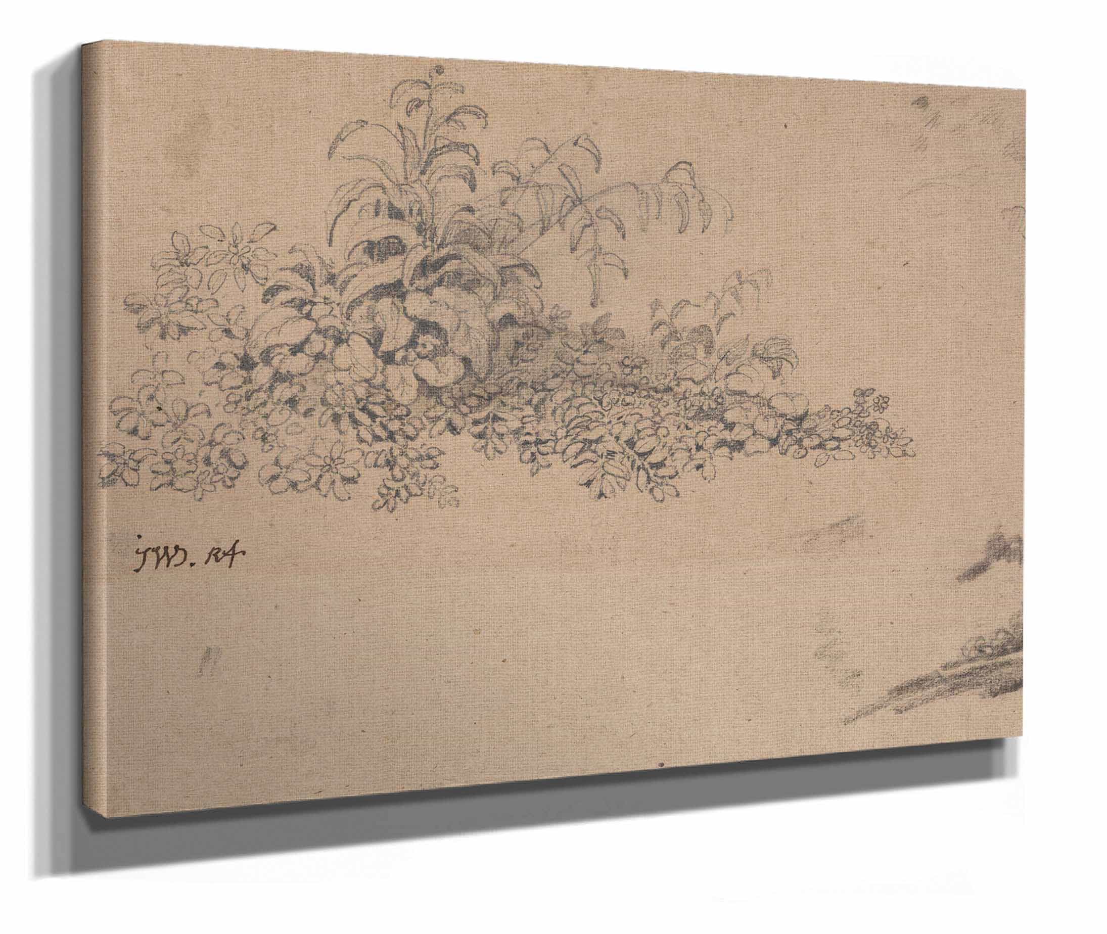 Study Of Undergrowth by James Ward