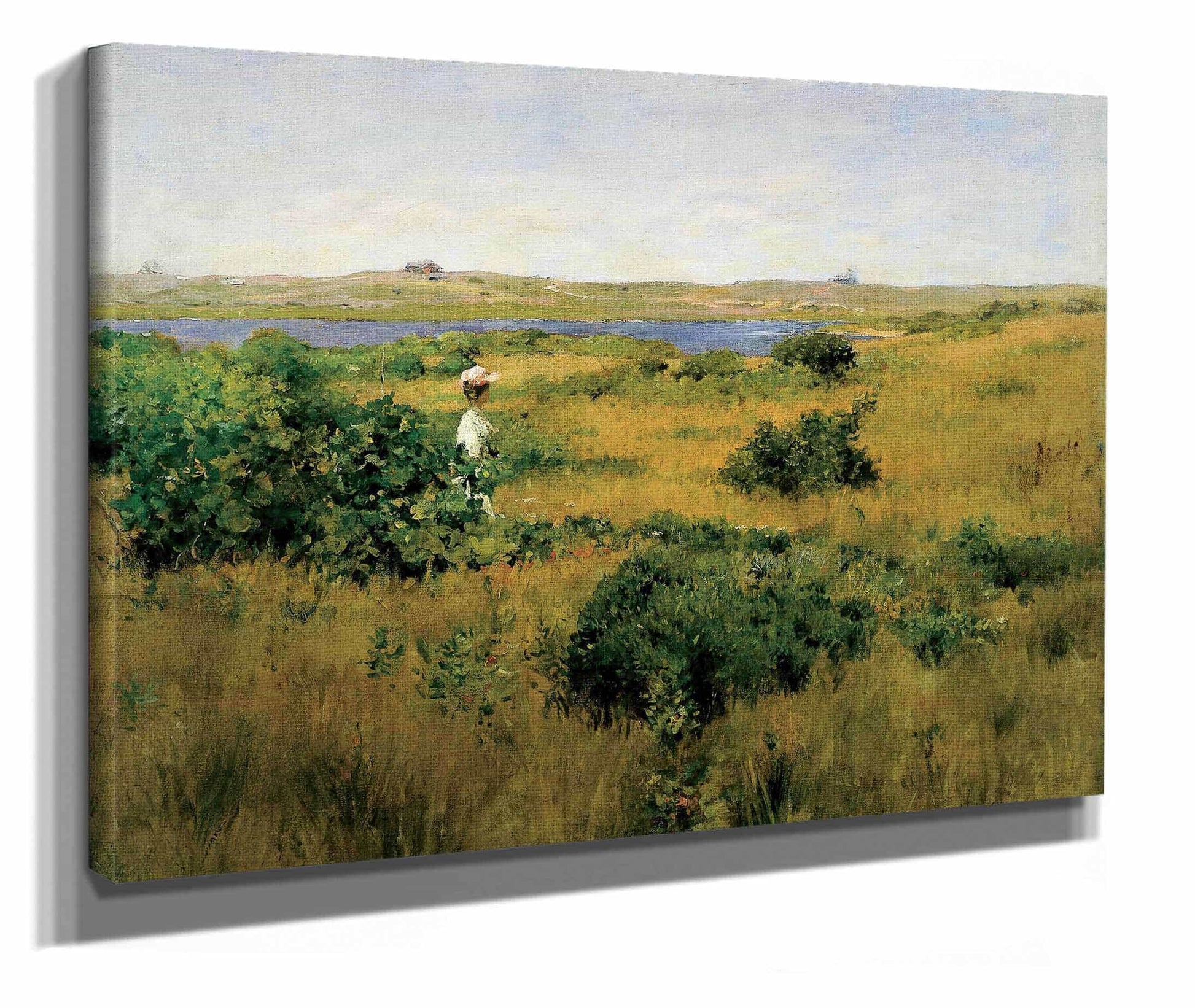 Summer At Shinnecock Hills by William Merritt Chase