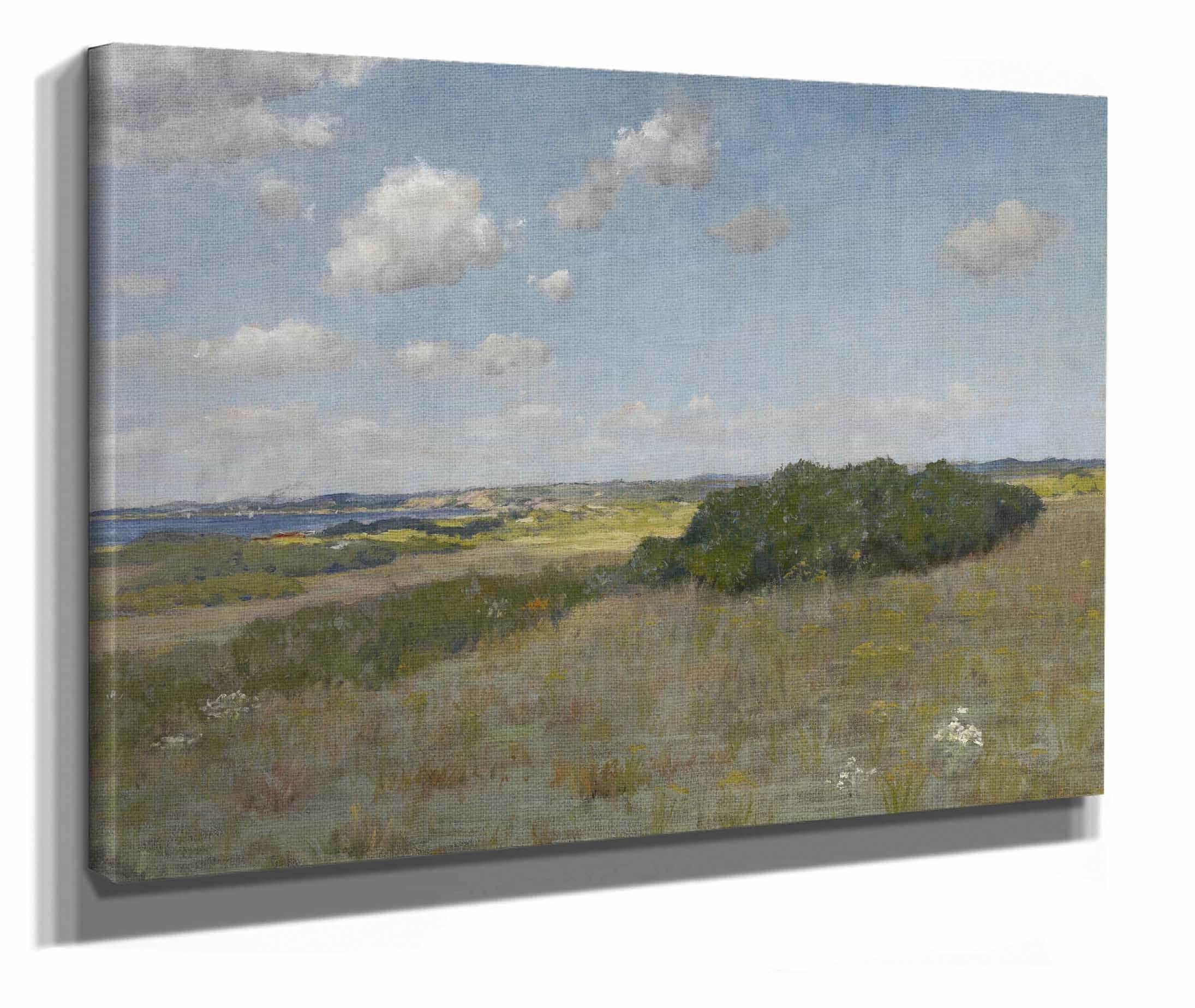 Sunlight And Shadow Shinnecock Hills by William Merritt Chase
