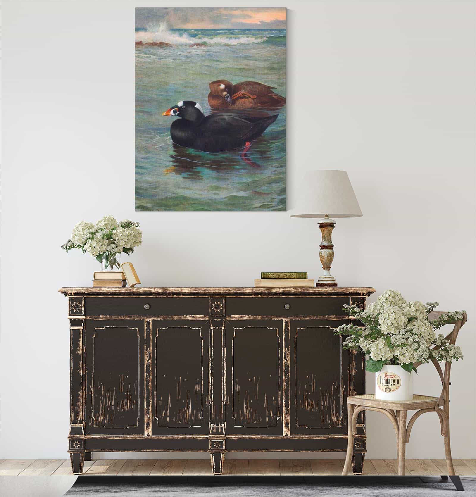 Surf Scoter by Archibald Thorburn