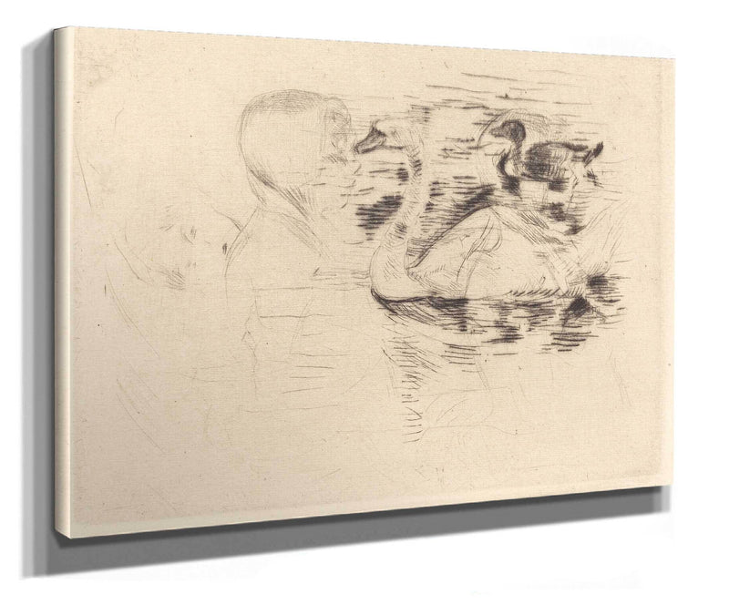 Swans At Stagnant Water by Berthe Morisot