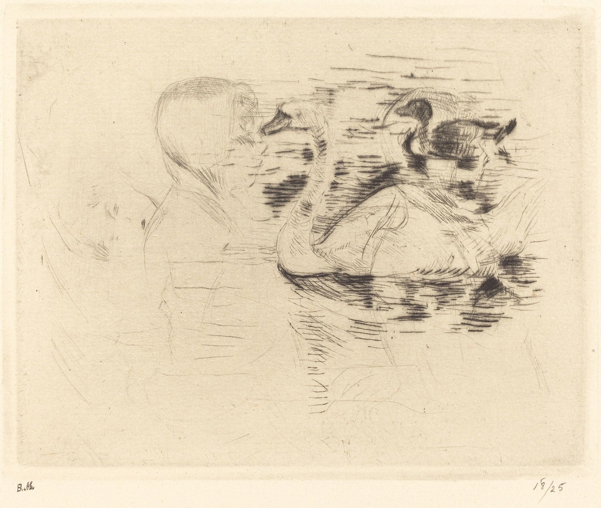 Swans At Stagnant Water by Berthe Morisot