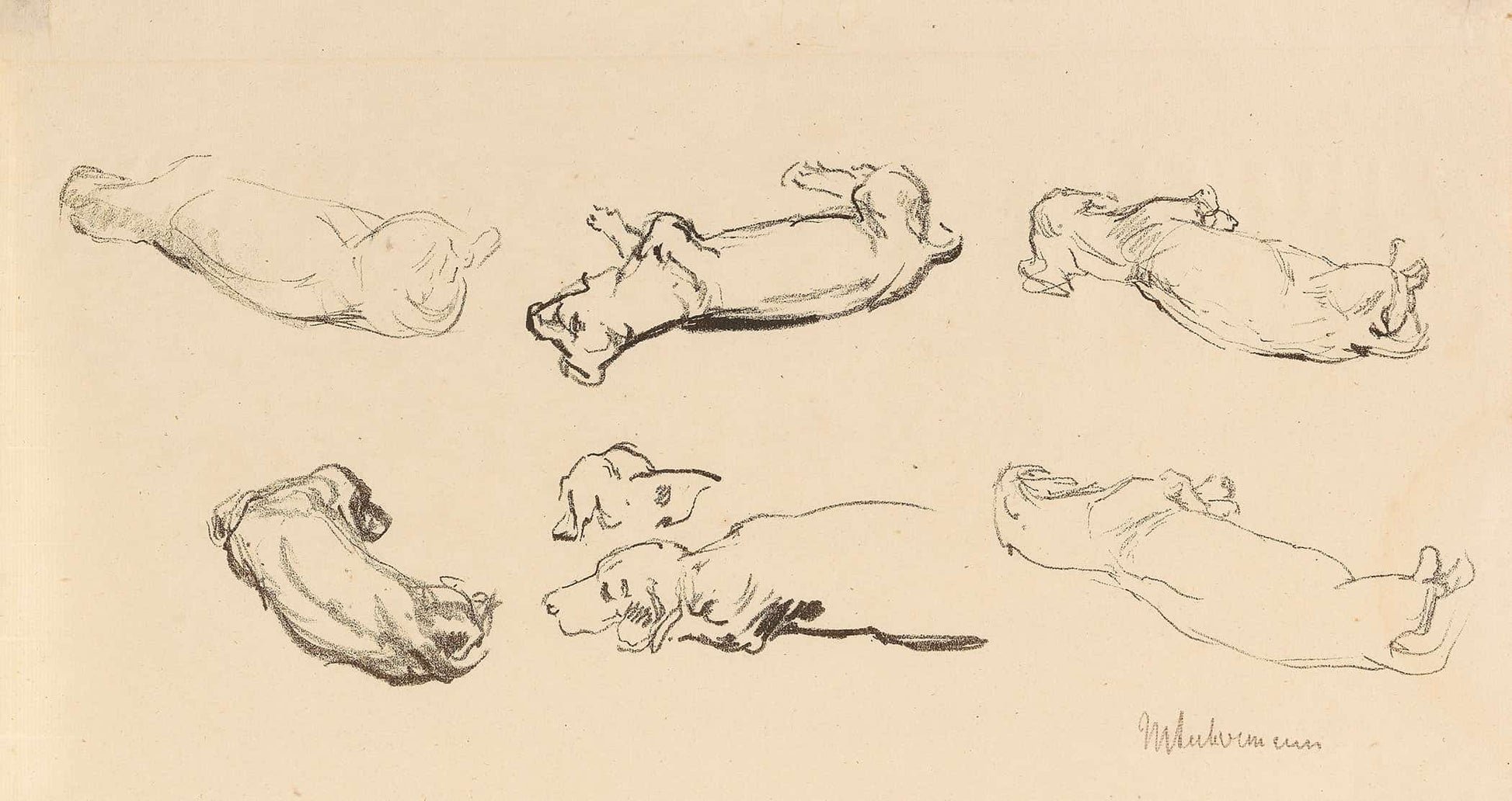Teckelstudien by Max Liebermann
