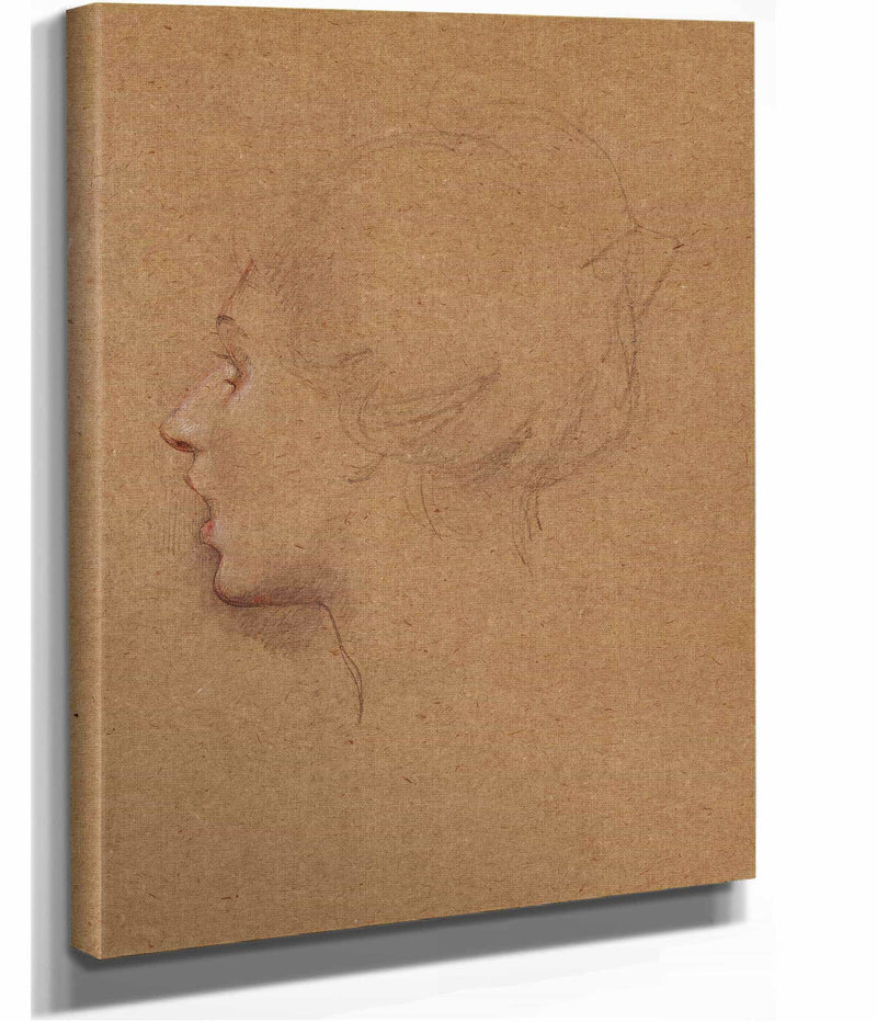 Tete De Femme by Luc Olivier Merson