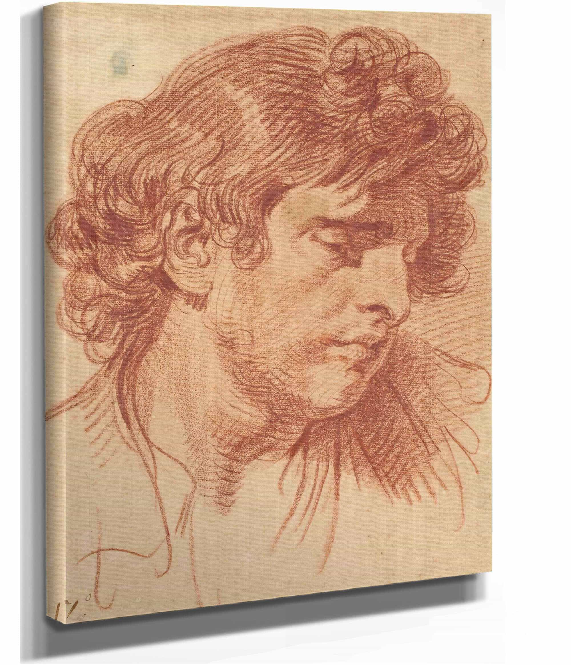 Tete Dhomme Aux Cheveux Boucles by Jean Baptiste Greuze