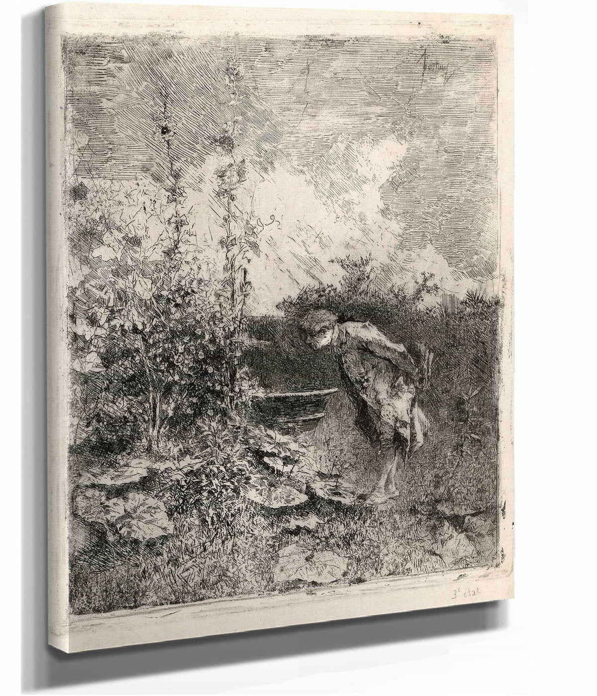 The Botanist by Mariano Fortuny Marsal