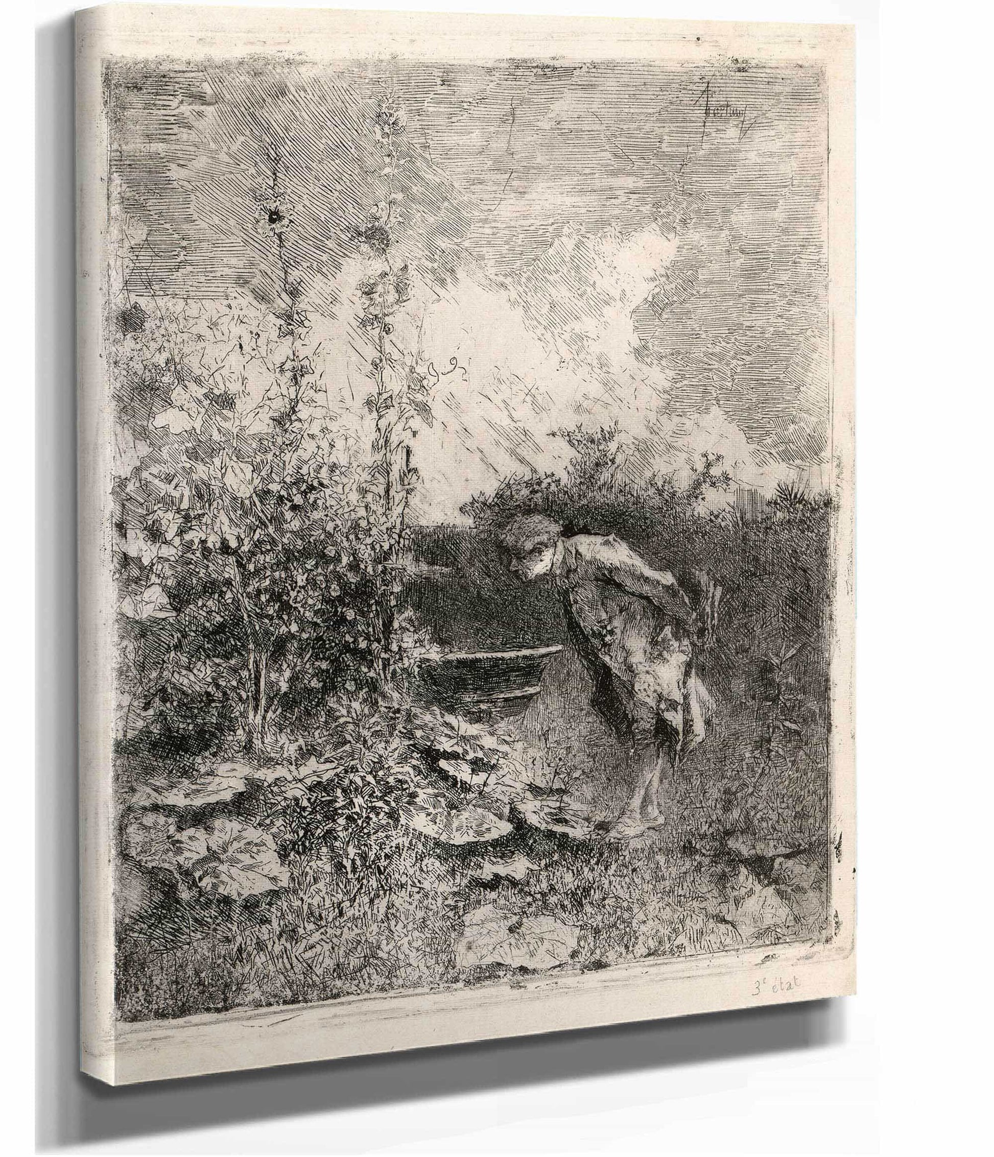 The Botanist by Mariano Fortuny Marsal