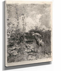 The Botanist by Mariano Fortuny Marsal