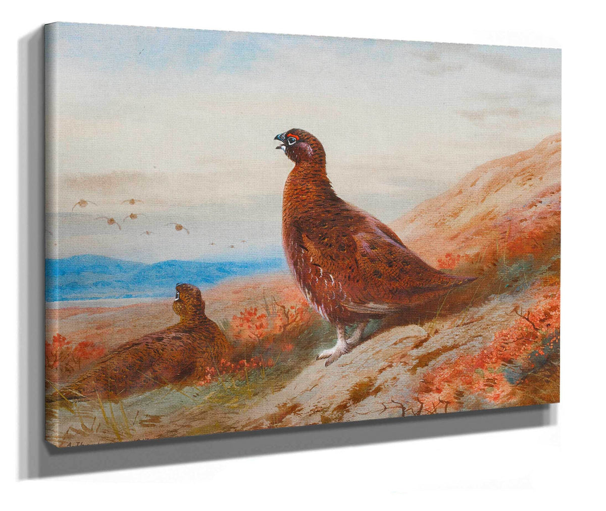 The Challenge by Archibald Thorburn