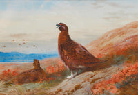 The Challenge by Archibald Thorburn
