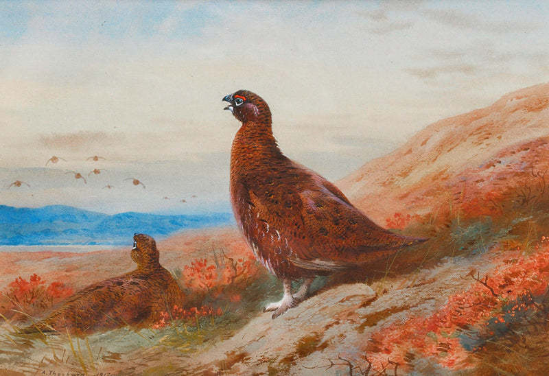 The Challenge by Archibald Thorburn