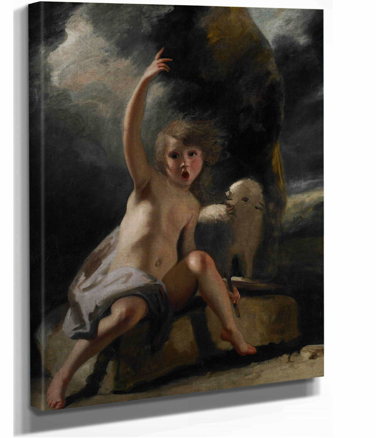 The Child Baptist In The Wilderness by Sir Joshua Reynolds
