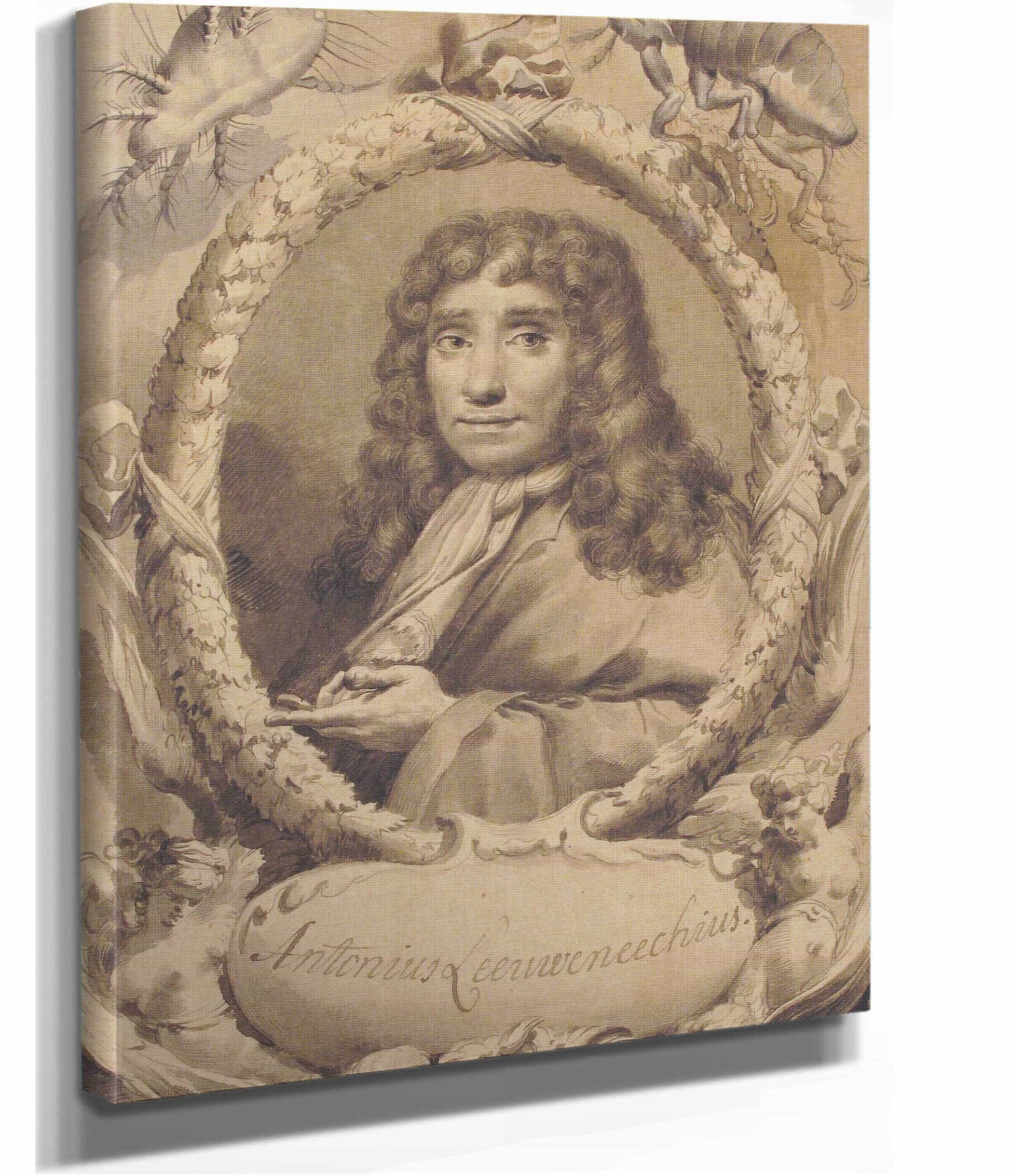 The Dutch Microscopist Anton Van Leeuwenhoek   by Gaetano Gandolfi