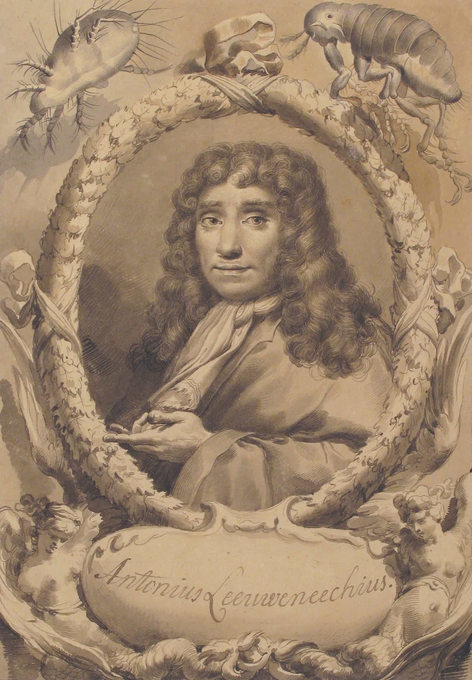 The Dutch Microscopist Anton Van Leeuwenhoek   by Gaetano Gandolfi