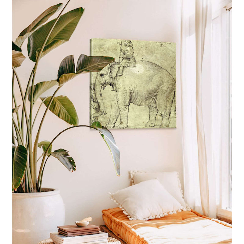 The Elephant Hanno by Raphael