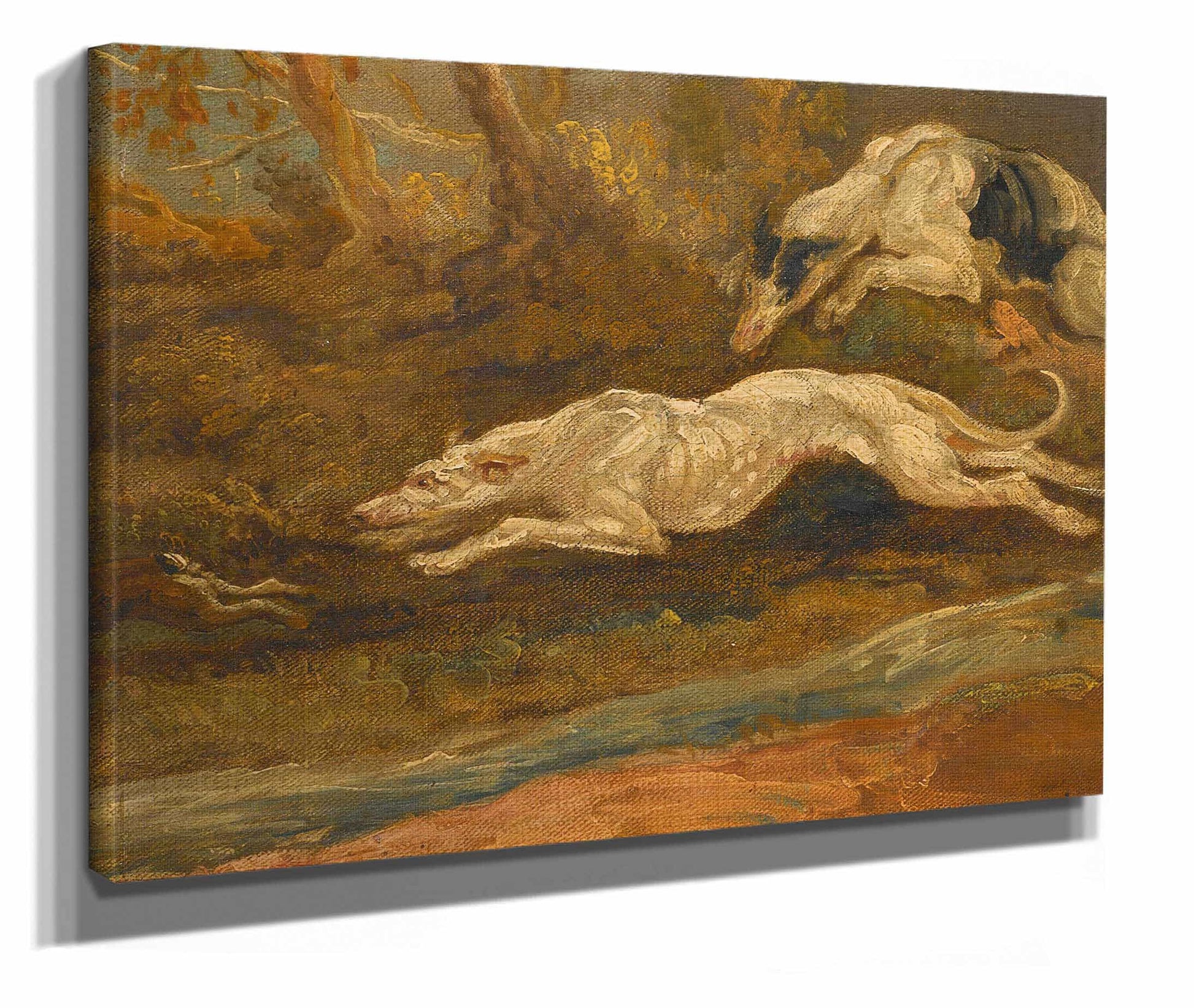 The Escape Two Greyhounds Coursing A Hare by James Ward
