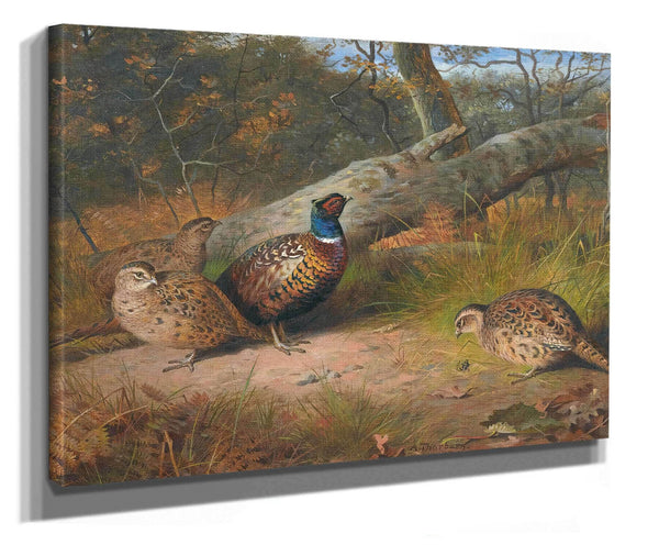 The Fallen Beech A Cock And Three Hen Pheasants With A Wasp by Archibald Thorburn