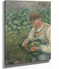 The Gardener Old Peasant With Cabbage by Camille Pissarro