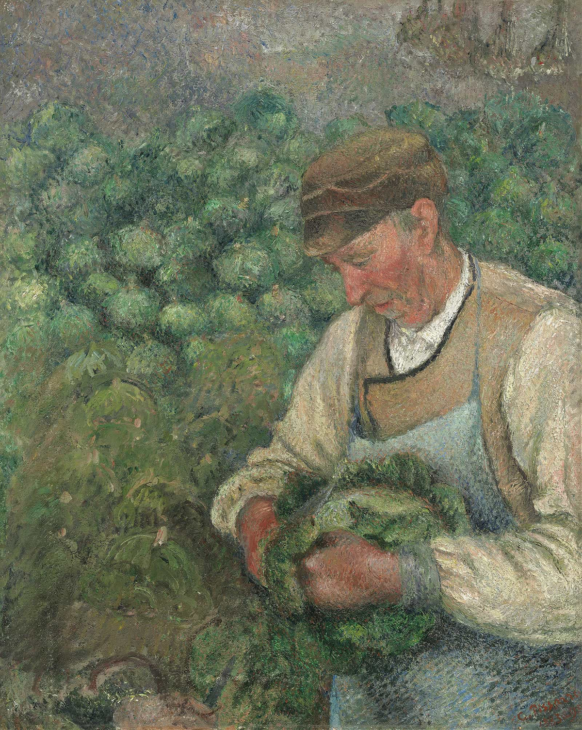 The Gardener Old Peasant With Cabbage by Camille Pissarro