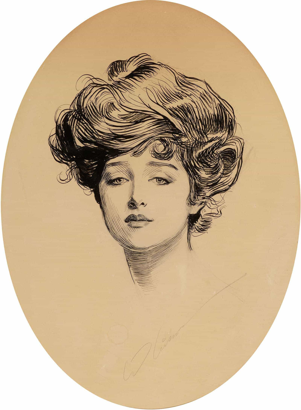 The Gibson Girl by Charles Dana Gibson