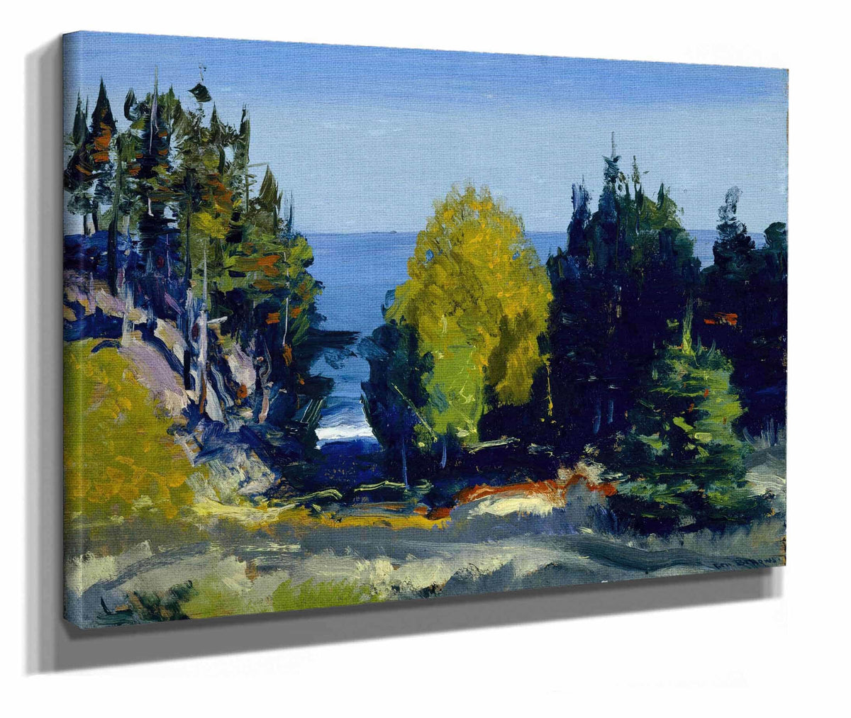 The Grove Monhegan by George Wesley Bellows