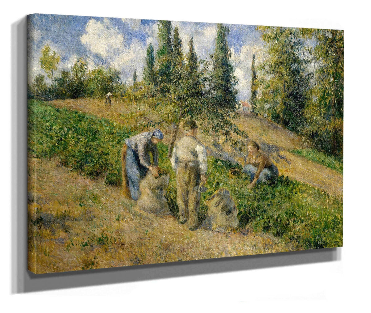 The Harvest Pontoise La Recolte Pontoise by Camille Pissarro