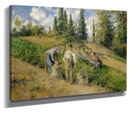 The Harvest Pontoise La Recolte Pontoise by Camille Pissarro