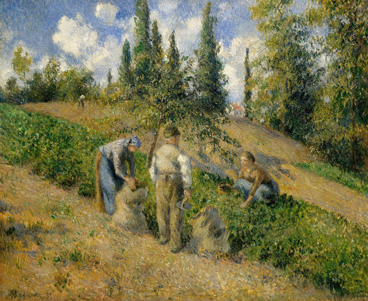 The Harvest Pontoise La Recolte Pontoise by Camille Pissarro