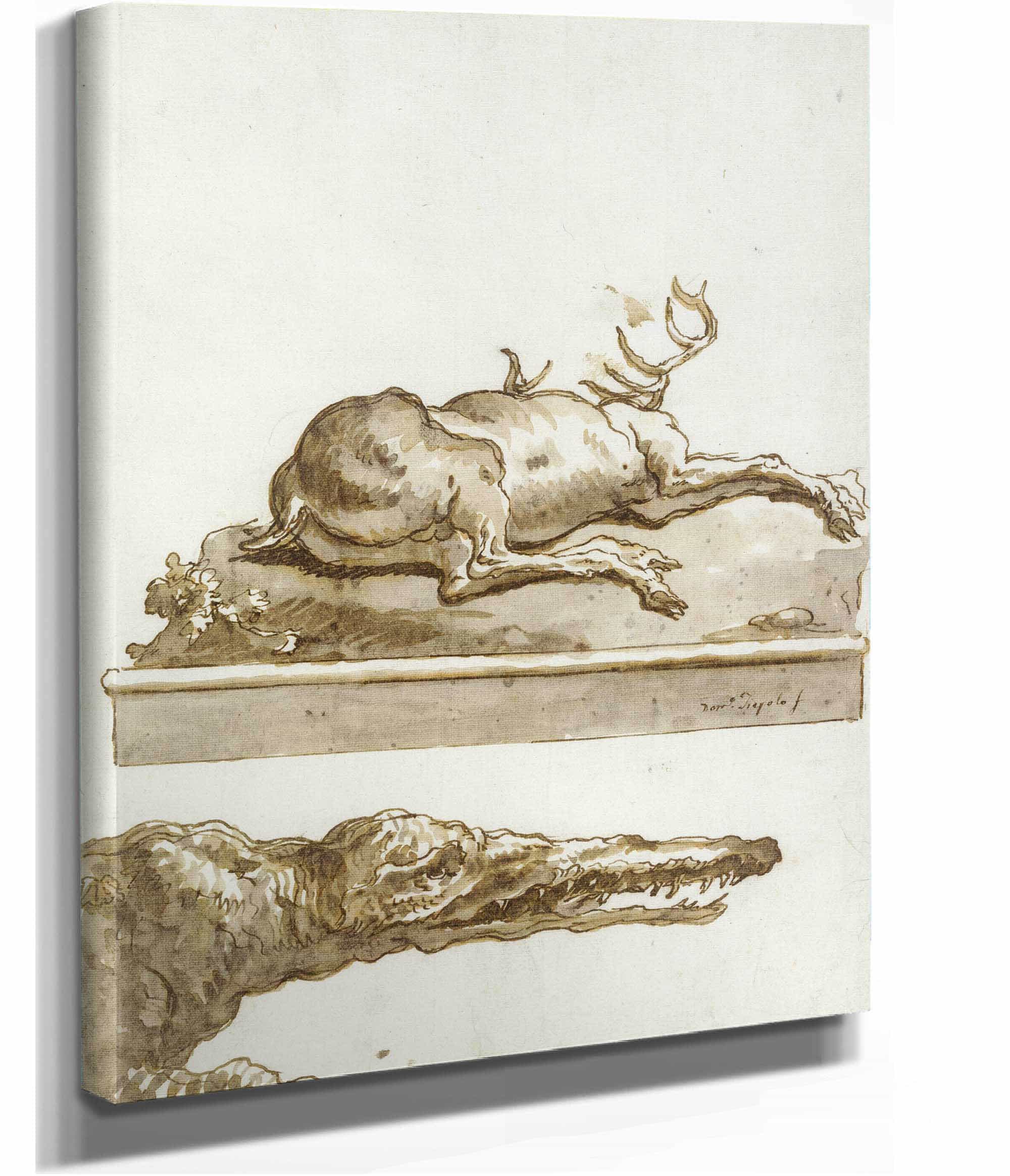 The Head Of A Crocodile After by Giovanni Domenico Tiepolo