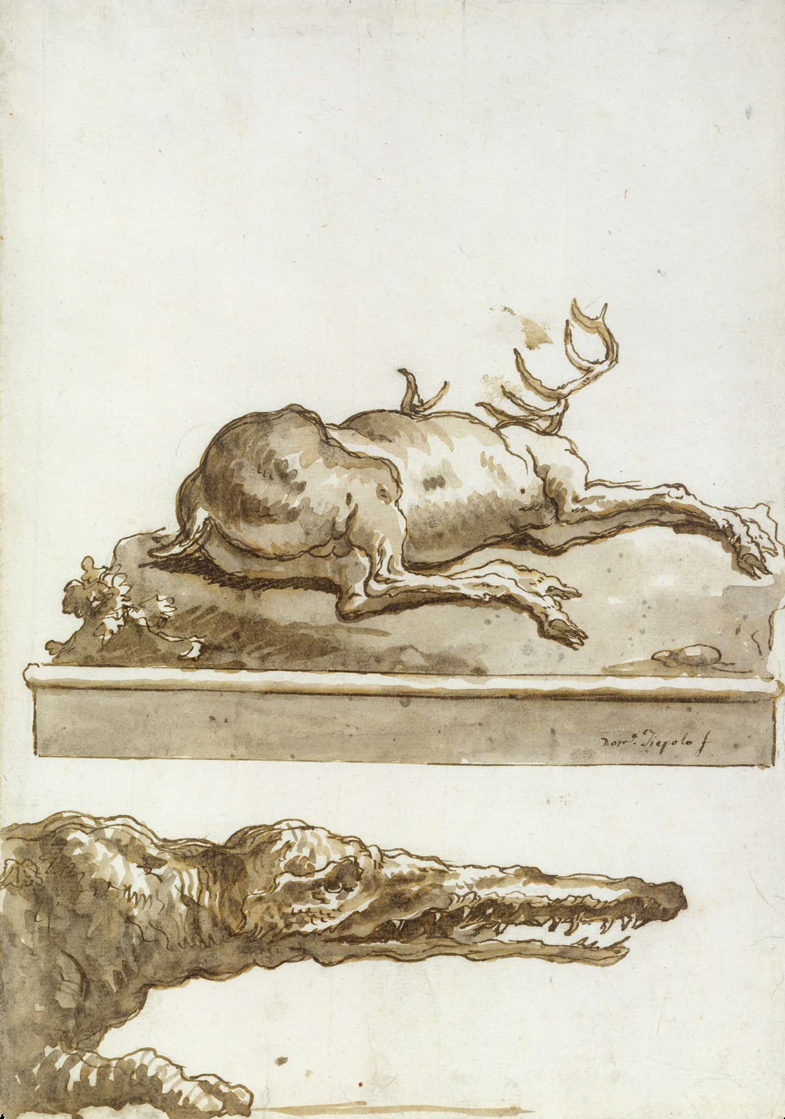 The Head Of A Crocodile After by Giovanni Domenico Tiepolo