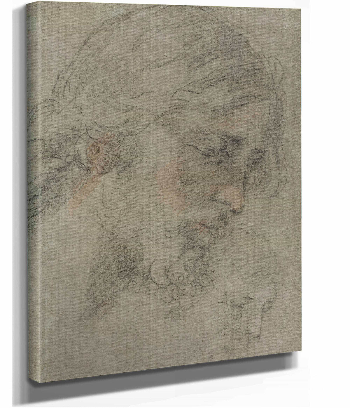 The Head Of Christ by Guido Reni