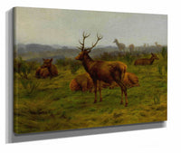 The Monarch Of The Herd by Rosa Bonheur